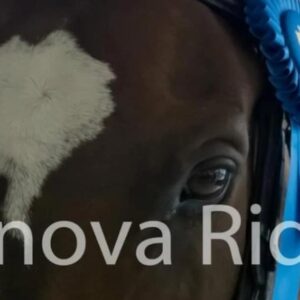 $97.50 For $195 worth of 4 30 minute private sessions At Innova Riding Stables